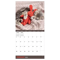 TF Publishing 2025 Cat Dreams Wall Calendar