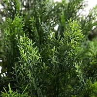 4ft. UV-Resistant Potted Cedar Bush