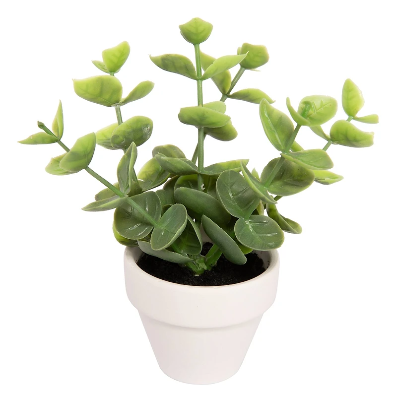Assorted Micro Premade Leaf Plant, 1pc. by Ashland®