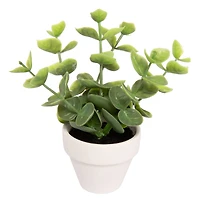 Assorted Micro Premade Leaf Plant, 1pc. by Ashland®