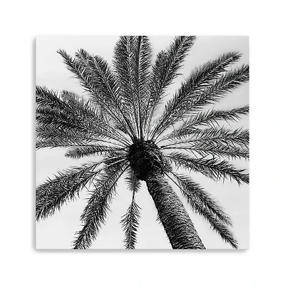Skyward Palm Canvas Giclee