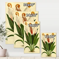 Designart - Retro Flowers I