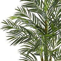 4ft. Areca Palm Tree in Terra Cotta Planter