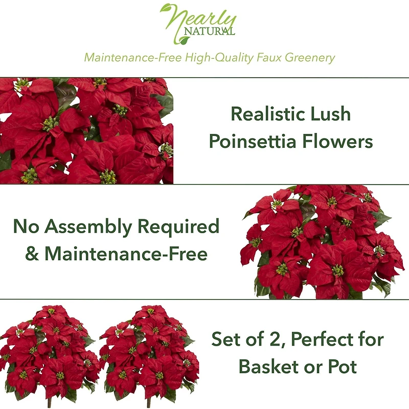 24" Red Poinsettia Plant Set