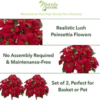 24" Red Poinsettia Plant Set