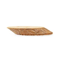 Dritz® 50mm Light Brown Sustainable Wood Grain Oval Button, 3ct.