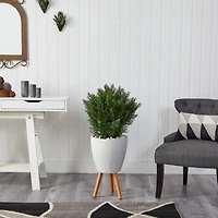 3ft. Cedar Tree in White Planter with Stand