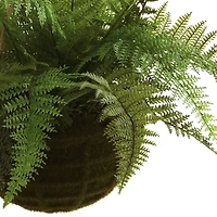 13'' Leather Fern in Mossy Hanging Basket, 2ct.
