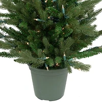 4ft. Pre-Lit Potted Real Touch™ Grande Spruce Artificial Christmas Tree, Clear Lights