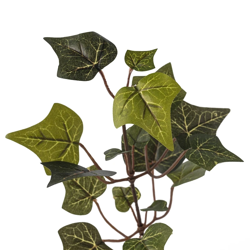 24 Pack: Floral Essentials English Ivy Spray by Ashland®