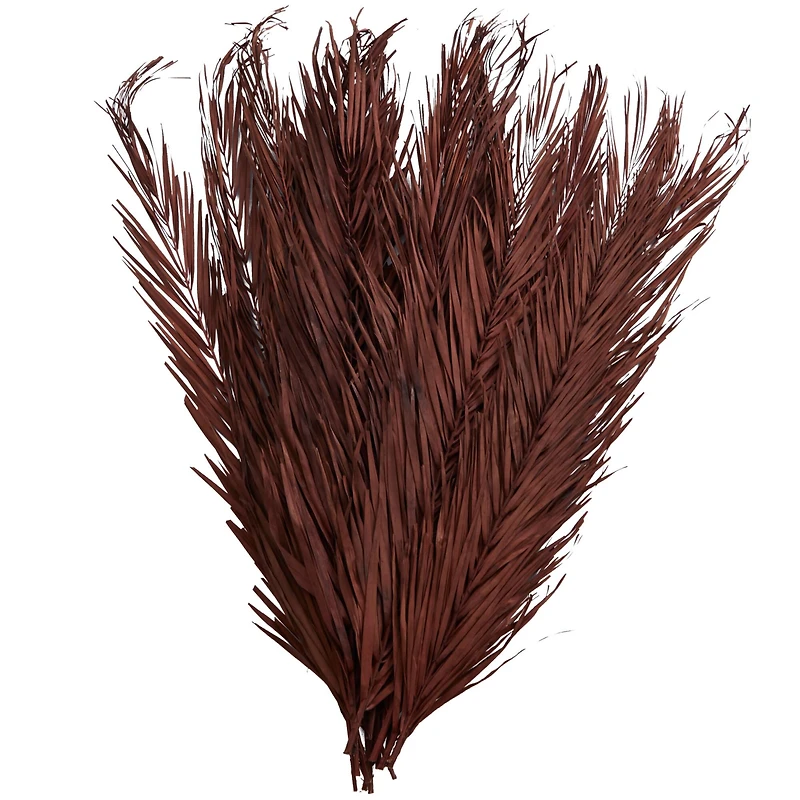 43" Natural Dried Plant Palm Leaf Bunch with Feather-Inspired Stems