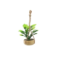 Mini Hanging Plant by Make Market®