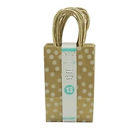  Small Kraft Dots & Stripes Paper Bag Value Pack by Celebrate It™ 
