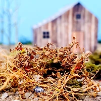 JTT Scenery Products Mini Dry Vines Dead Foliage, 10g