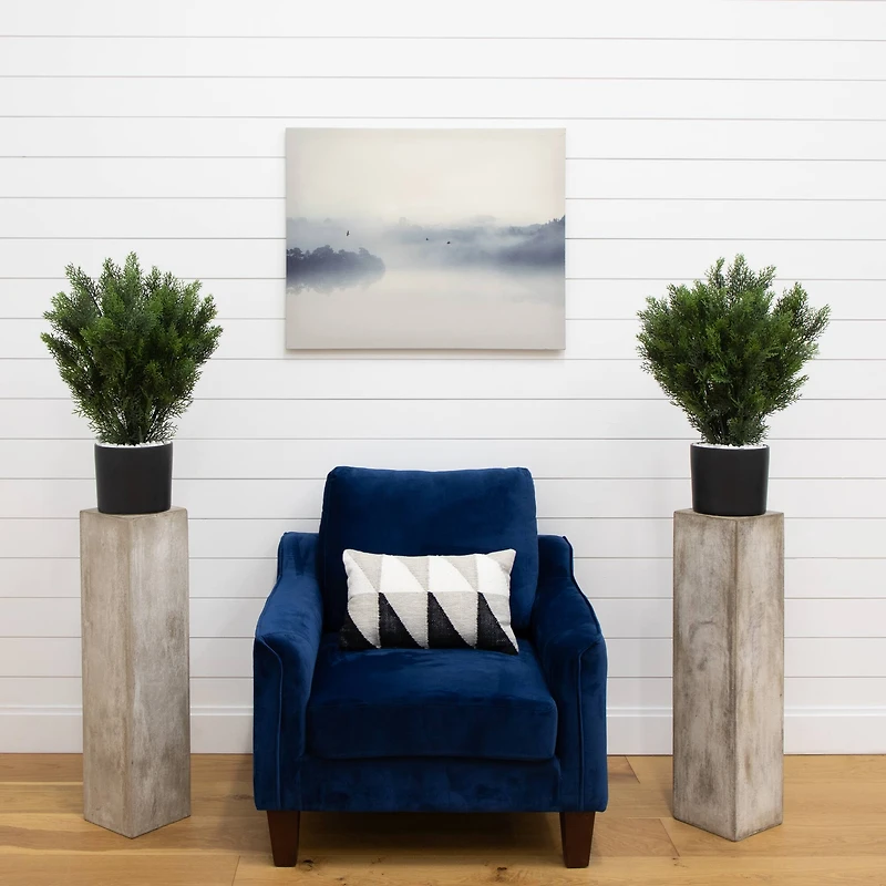 2ft. Potted UV Resistant Cedar Bushes, 2ct.