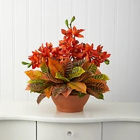 18" Boat Orchid & Croton Floral Arrangement in Terra Cotta Vase