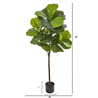 4.5ft. Fiddle Leaf Tree with White Planter