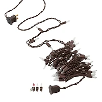 50ct. Creative Collection™ Shimmer Lights Grapevine by Ashland™