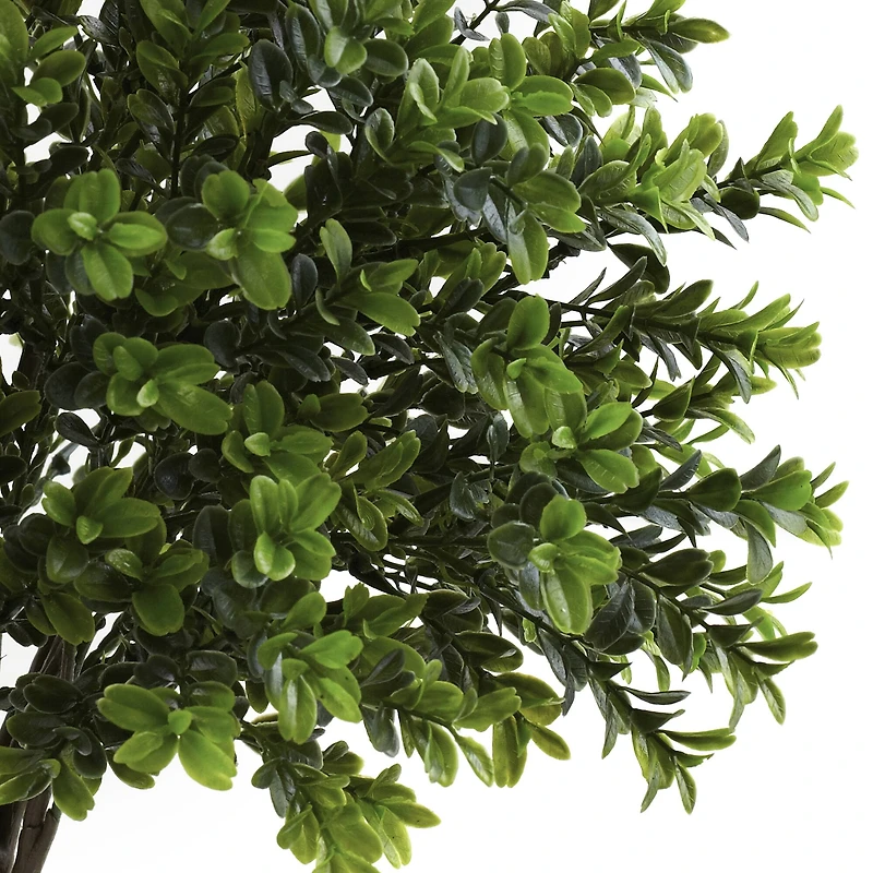 23" Sweet Grass Bush, 2ct.