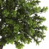 23" Sweet Grass Bush, 2ct.