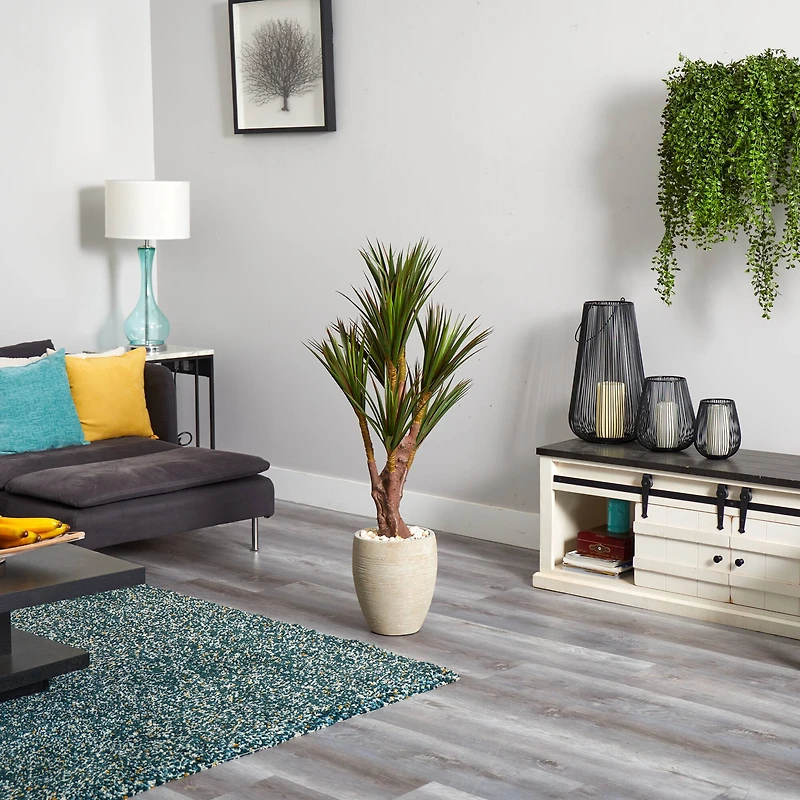 4ft. Yucca Tree in Planter