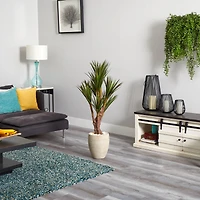 4ft. Yucca Tree in Planter