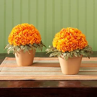 FloraCraft® FloraFōM Vase Insert Green