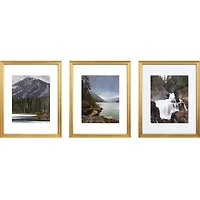 3 Pack Gallery™ Gold Frame with Mat by Studio Décor