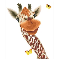 Diamond Dotz® Hey There Diamond Painting Kit