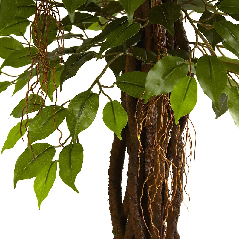7.5ft. Potted UV Resistant Ficus Tree