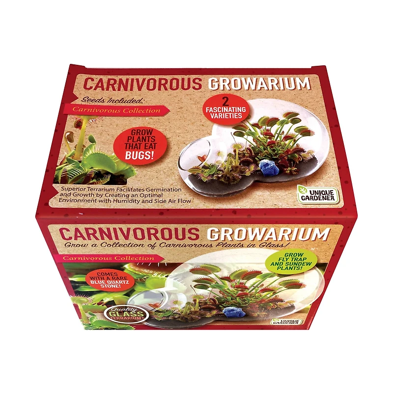 Double Sphere Glass Terrarium - Carnivorous Growarium