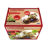 Double Sphere Glass Terrarium - Carnivorous Growarium