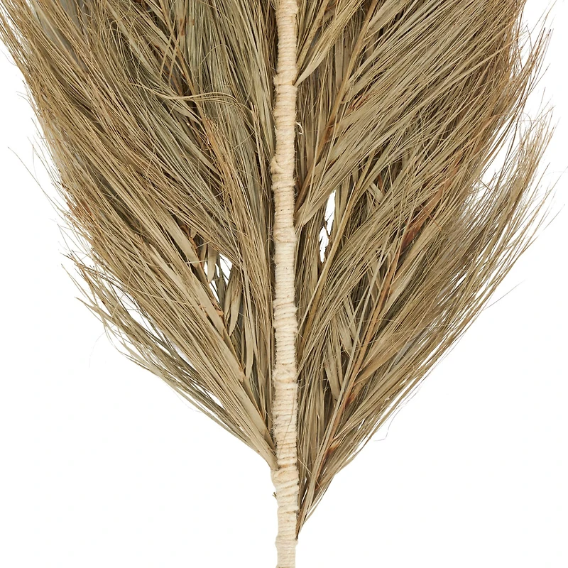 Brown Plant Palm Leaf Stem