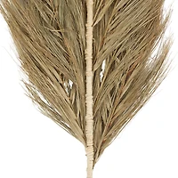 Brown Plant Palm Leaf Stem