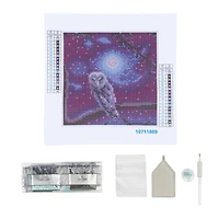 Night Owl Painting Diamond Art Kit by Make Market®