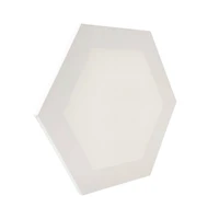 12" x 12" White Hexagon Cotton Duck Canvas by Craft Smart™