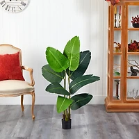 3.5ft. Potted Travelers Palm Tree