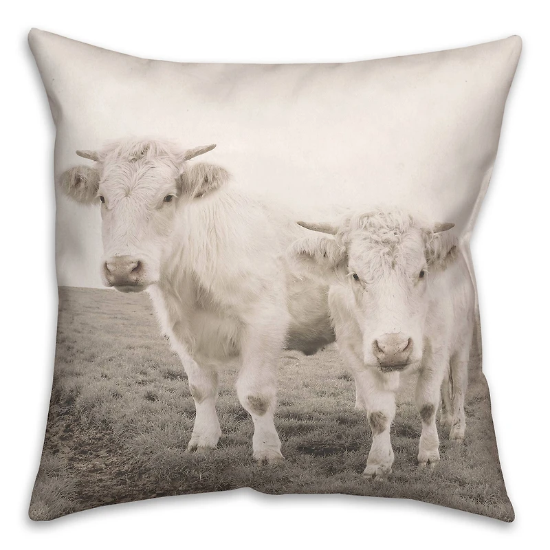 Cow Photograph Indoor/Outdoor Pillow