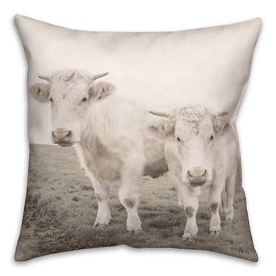 Cow Photograph Indoor/Outdoor Pillow