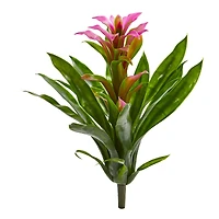Bromeliad Flower