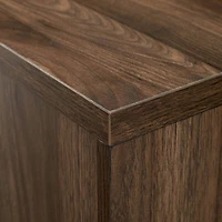 Walker Edison Dark Walnut 2 Door Accent Cabinet