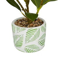 16" Potted White PVC Coastal Evergreen Artificial Foliage