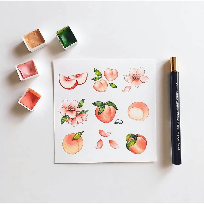 Silver Brush Limited Black Velvet® Small Travel Brushes Set