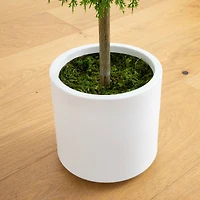 2.5ft. UV-Resistant Artificial Cedar Ball Topiary Tree in White Decorative Planter