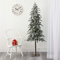 6.5ft. Pre-Lit Washington Alpine Artificial Christmas Tree, White Warm LED Lights