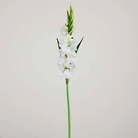45" White Gladiolus Flower Stems, 3ct.