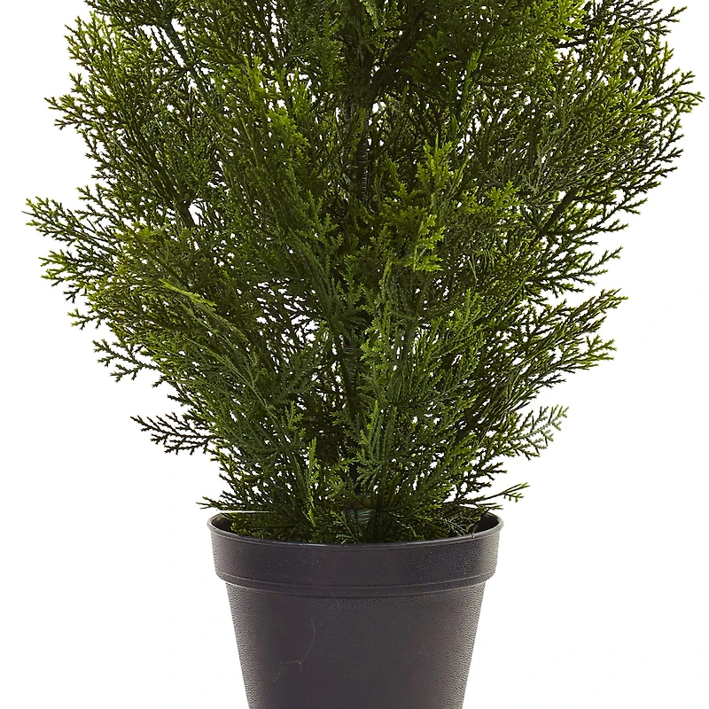3ft. Potted Mini Cedar Pine Tree