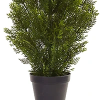 3ft. Potted Mini Cedar Pine Tree