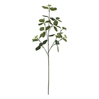 37" Seeded Eucalyptus Stem by Ashland®