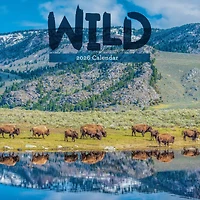 2026 Wild Wall Calendar